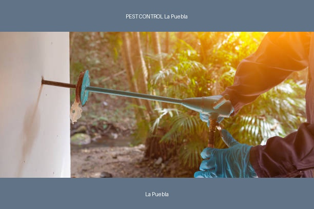 PEST CONTROL La Puebla